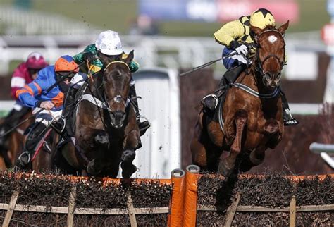 The best Champion Hurdle offers and free bets.